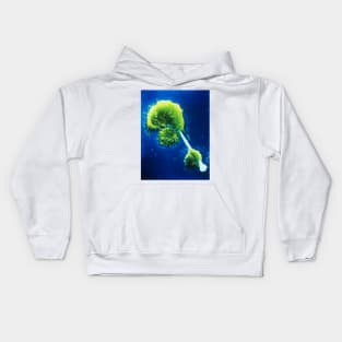 SEM of macrophages impaled on an asbestos needle (M108/0109) Kids Hoodie